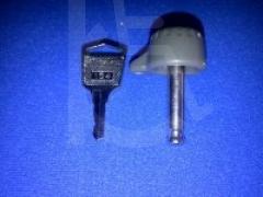 Pair Of Keys For A Roma Power Pack