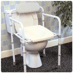 Uni-Frame Folding Toilet Rail